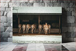 Πίνακας, Herd of Donkeys in Shelter Κοπάδι γαϊδάρων στο καταφύγιο