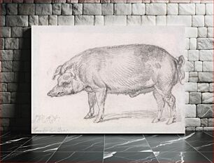 Πίνακας, Hereford Boar