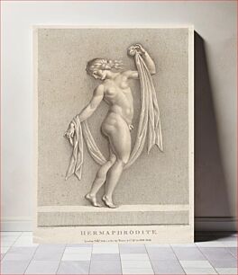 Πίνακας, Hermaphrodite by Francesco Bartolozzi