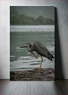 Πίνακας, Heron by the Lake Ερωδιός δίπλα στη λίμνη