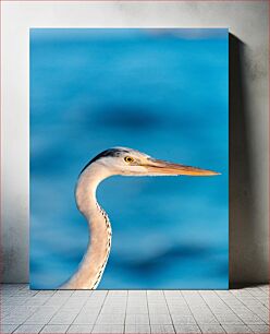 Πίνακας, Heron by the Sea Ερωδιός δίπλα στη θάλασσα