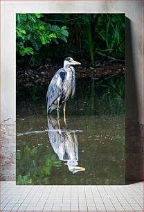 Πίνακας, Heron by the Water Ερωδιός δίπλα στο νερό