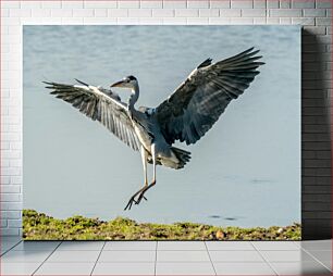 Πίνακας, Heron in Flight Ερωδιός σε πτήση