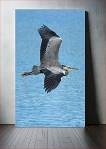 Πίνακας, Heron in Flight Ερωδιός σε πτήση