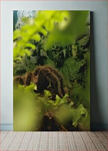 Πίνακας, Hidden Tarantula in Jungle Foliage Κρυμμένη Ταραντούλα στο Φύλλωμα της Ζούγκλας