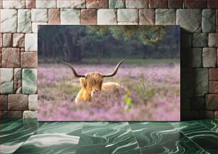 Πίνακας, Highland Cow in a Field of Flowers Αγελάδα Highland σε ένα χωράφι με λουλούδια