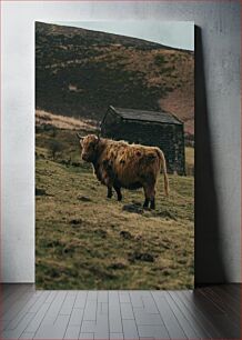 Πίνακας, Highland Cow in Rustic Landscape Highland Cow σε ρουστίκ τοπίο