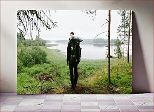 Πίνακας, Hiker by the Lake Πεζοπόρος δίπλα στη λίμνη