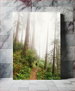 Πίνακας, Hiker in Misty Forest Πεζοπόρος στο Misty Forest