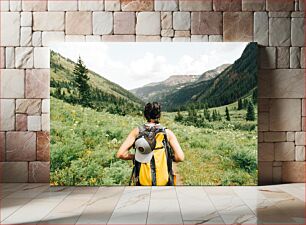 Πίνακας, Hiker in Mountain Valley Πεζοπόρος στο Mountain Valley