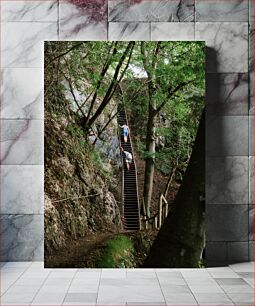 Πίνακας, Hiking through a Forest Trail with Stairs Πεζοπορία μέσα από ένα δασικό μονοπάτι με σκάλες