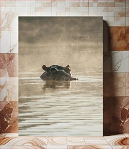 Πίνακας, Hippo in Misty Water Hippo in Misty Water