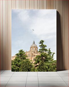 Πίνακας, Historic Dome with Surrounding Trees Ιστορικός Θόλος με Δέντρα που Περιβάλλουν