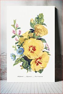 Πίνακας, Hollyhock, Hepatica and Rest Harrow from The Language of Flowers, or, Floral Emblems of Thoughts, Feelings, and Sentiments (1896) by Robert Tyas. Origina