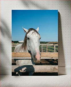 Πίνακας, Horse at the Fence Άλογο στο Φράχτη