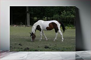 Πίνακας, Horse Grazing in Pasture Βόσκηση αλόγων σε βοσκότοπους