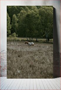 Πίνακας, Horse in Forest Clearing Άλογο στο Δάσος Εκκαθάριση