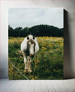 Πίνακας, Horse in Meadow Άλογο στο Λιβάδι