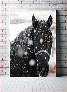 Πίνακας, Horse in Snow Άλογο στο χιόνι