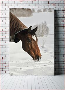 Πίνακας, Horse in Snow Άλογο στο χιόνι