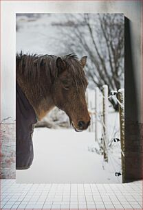 Πίνακας, Horse in Snowy Landscape Άλογο στο χιονισμένο τοπίο