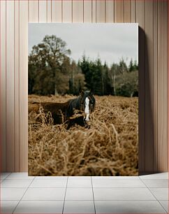 Πίνακας, Horse in the Meadow Άλογο στο Λιβάδι