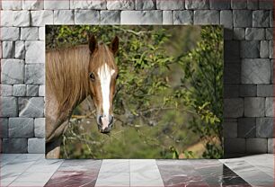 Πίνακας, Horse in the Wilderness Άλογο στην ερημιά