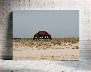 Πίνακας, Horses Grazing on a Beach Άλογα που βόσκουν σε μια παραλία