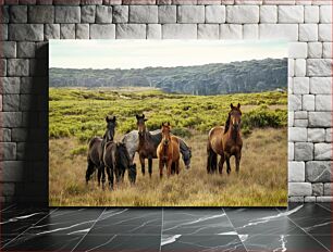 Πίνακας, Horses in a Field Άλογα σε ένα χωράφι