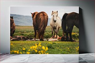 Πίνακας, Horses in a Field Άλογα σε ένα χωράφι