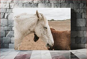 Πίνακας, Horses in Natural Habitat Άλογα σε φυσικό βιότοπο