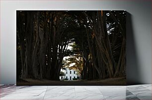 Πίνακας, House through Forest Path Σπίτι μέσα από το μονοπάτι του δάσους