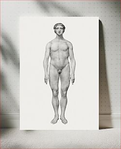 Πίνακας, Human Figure, Anterior View, Undissected (Finished Study for Table VI), (1795–1806) by George Stubbs