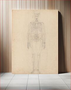 Πίνακας, Human Skeleton, Anterior View by George Stubbs