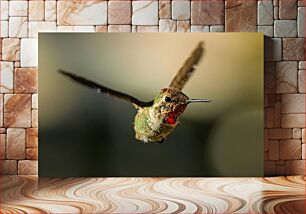 Πίνακας, Hummingbird in Flight Κολίμπρι σε πτήση