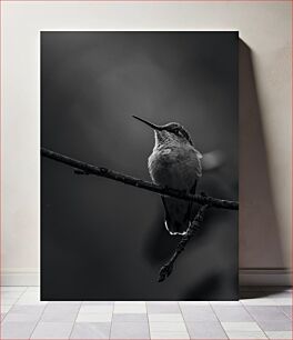 Πίνακας, Hummingbird on Branch Κολίμπρι στο κλαδί