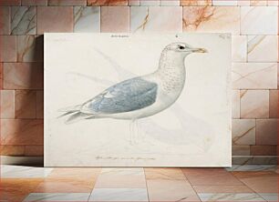 Πίνακας, Iceland gull, 1838, Magnus Von Wright