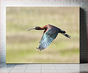 Πίνακας, In Flight Elegance In Flight Elegance