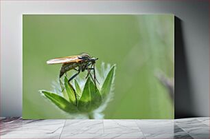 Πίνακας, Insect on Foliage Έντομο στο φύλλωμα