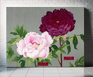 Πίνακας, Japanese pink & fuchsia peony flowers, vintage floral print from The Picture Book of Peonies by the Niigata Prefecture, Japan