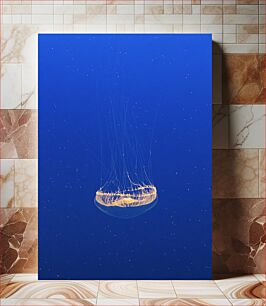 Πίνακας, Jellyfish Floating Μέδουσες Πλωτές