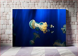 Πίνακας, Jellyfish in Deep Blue Μέδουσες σε βαθύ μπλε