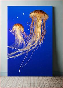 Πίνακας, Jellyfish in the Deep Blue Sea Μέδουσες στη Βαθύ Γαλάζια Θάλασσα