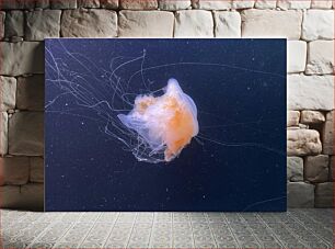 Πίνακας, Jellyfish in the Deep Sea Μέδουσες στη βαθιά θάλασσα