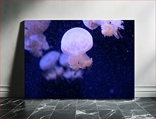 Πίνακας, Jellyfish in the Deep Sea Μέδουσες στη βαθιά θάλασσα