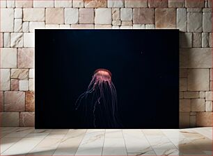 Πίνακας, Jellyfish in the Deep Sea Μέδουσες στη βαθιά θάλασσα