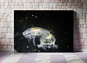 Πίνακας, Jellyfish in the Depths Μέδουσες στα βάθη