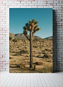 Πίνακας, Joshua Tree in the Desert Joshua Tree στην έρημο