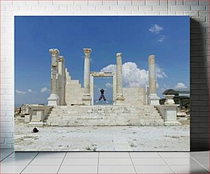 Πίνακας, Jumping Amidst Ancient Ruins Άλμα ανάμεσα σε αρχαία ερείπια