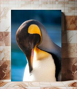 Πίνακας, King Penguin Portrait Πορτρέτο βασιλιά πιγκουίνου